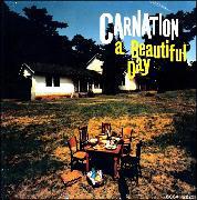 a Beautiful Day(Deluxe Edition)/J[l[V(CARNATION)̉摜EWPbgʐ^
