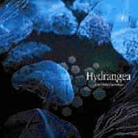 HYDRANGEA/A CROWD OF REBELLION̉摜EWPbgʐ^