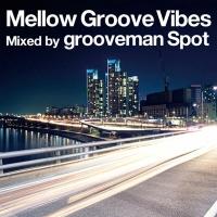 Mellow Groove Vibes/grooveman Spot̉摜EWPbgʐ^