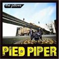 PIED PIPER(ʏ)