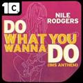 DO WHAT YOU WANNA DO (IMS ANTHEM) REMIXIES