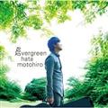 evergreen(ʏ)