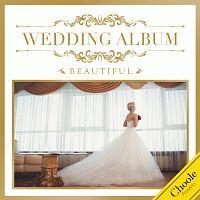 WEDDING ALBUM -BEAUTIFUL-/IjoX̉摜EWPbgʐ^