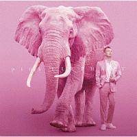 pink ELEPHANT/đqỈ摜EWPbgʐ^