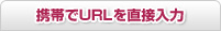 �g�т�URL�𒼐ړ���