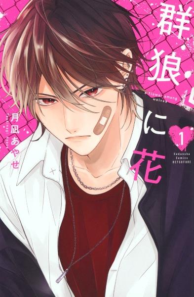 薬屋のひとりごと 12巻 | 宅配コミックレンタルのTSUTAYA DISCAS