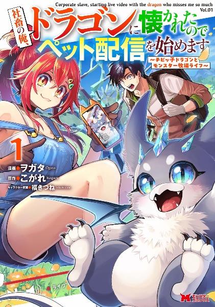 ロクでなし魔術講師と禁忌教典(アカシックレコード)1～16巻セット Amazon.com: ロクでなし魔術講師と禁忌教典23 (ファンタジア文庫