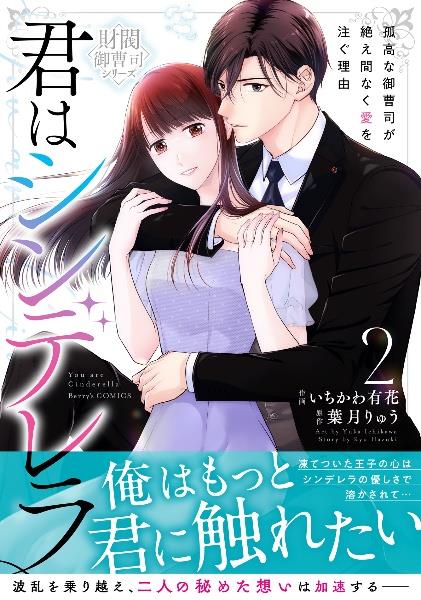 愛したいのは、お前だけ 天才外科医の甘い策略【財閥御曹司シリーズ