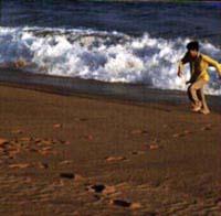 ���̂̑t�ł鉹�y