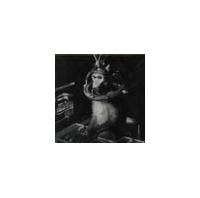 A DISC FULL OF SIGNS