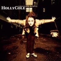 ���̂��鎞��