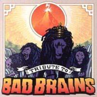 TRIBUTE TO BAD BRAINS/IjoX̉摜EWPbgʐ^