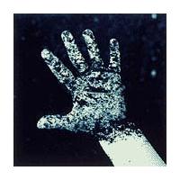 ��l�O�ɂȂ肽����