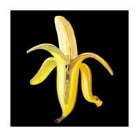 �����L�[�E�n�E�X�ւ悤����