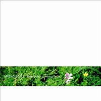 fate effects the surface