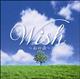 Wish`S̎`
