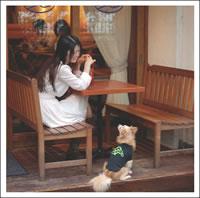 Me-imi@`Premium Edition`