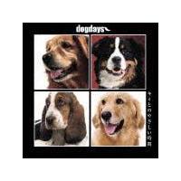 dogdays-L~Ƃ̂₳-