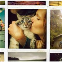 �}�C�E�t�����Y�E�I�[���E�_�C�h�E�C���E�A�E�v���[���E�N���b�V��