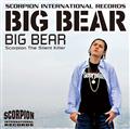BIG BEAR
