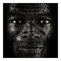 �V�X�e���i����Ձj