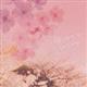 桜、サクラ、Sakura～ビューティフル・ソングス