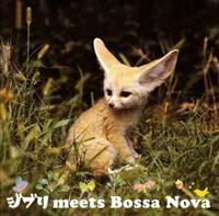 Wu meets Bossa Nova/X^WIWu/IjoX̉摜EWPbgʐ^