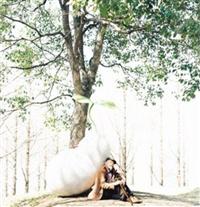 �yMAXI�z�i���i�}�L�V�V���O���j