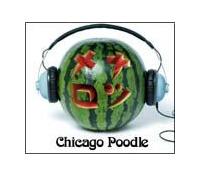 �yMAXI�z�i�c�����i�}�L�V�V���O���j