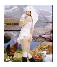 �yMAXI�z������(�����)�i�}�L�V�V���O���j