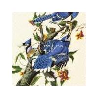 �U�E�o�[�Y�E�R���N�V����