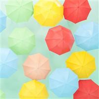 �yMAXI�z�P�i�}�L�V�V���O���j