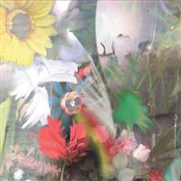 �t�����[�Y