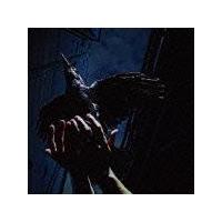 �yMAXI�zCold Edge e.p.�i�}�L�V�V���O���j