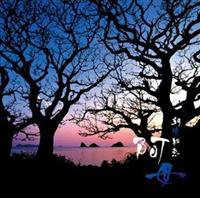 �yMAXI�z����i����܁j�i�}�L�V�V���O���j