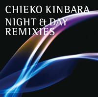 NIGHT & DAY REMIXIES