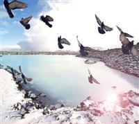 �C���e���A�Y