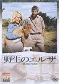 ビル・トラヴァース主演】怪獣 ゴルゴ-ワイドスクリーン版- | 宅配DVDレンタルのTSUTAYA DISCAS