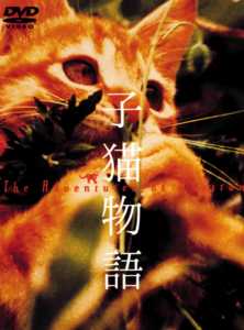 DVD 子猫物語