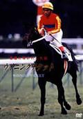 Amazon.co.jp: トロットサンダー THE PERFECT MILER [DVD] : DVD