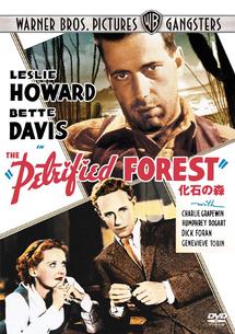 化石の森のサムネイル画像