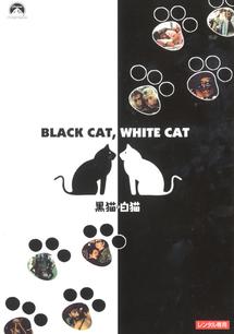 黒猫　白猫の画像・ジャケット写真