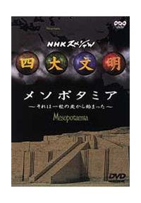 �l�啶���@�Q�@���\�|�^�~�A�`����͈ꗱ�̔�����n�܂����`