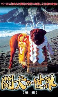 �����̐��E�@���