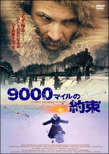 ９０００マイルの約束のサムネイル画像