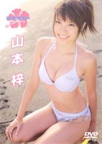 �A�Y�x���[