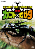 激闘 カブト×クワガタ ~あつまれ!たたかう甲虫たち~ [DVD] o7r6kf1 Amazon.co.jp: 激闘 カブト×クワガタ ~あつまれ!たたかう甲虫