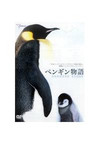 �y���M������