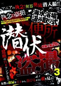 海水浴場汲み取り式便所　潜伏盗撮　３の画像