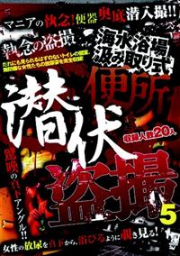 海水浴場汲み取り式便所　潜伏盗撮　５の画像